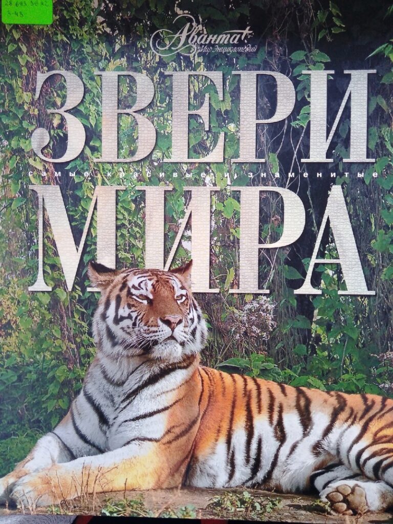 звери мира